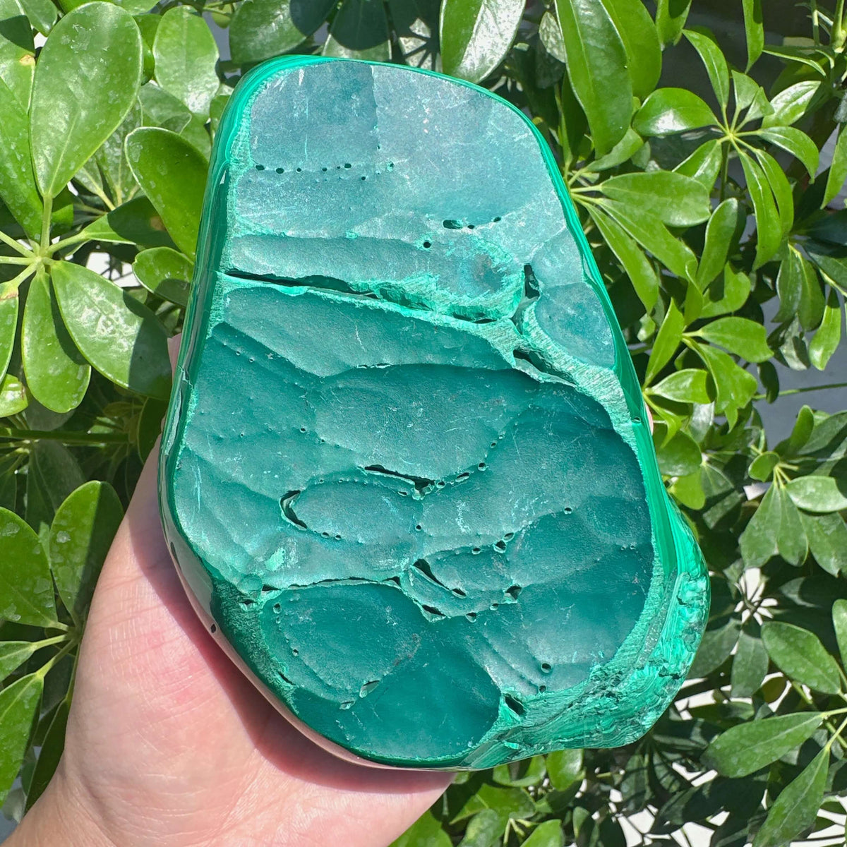 Malachite Freeform
