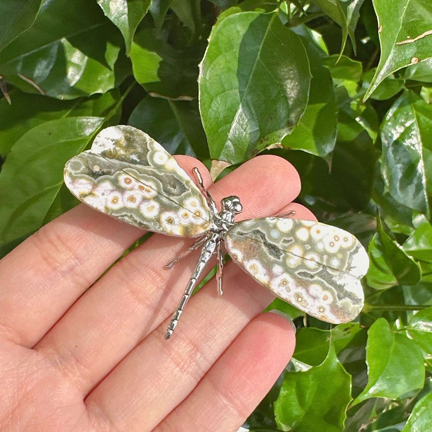 Detailed view of the 8th Vein Ocean Jasper Dragonfly, highlighting the gemstone’s unique design.