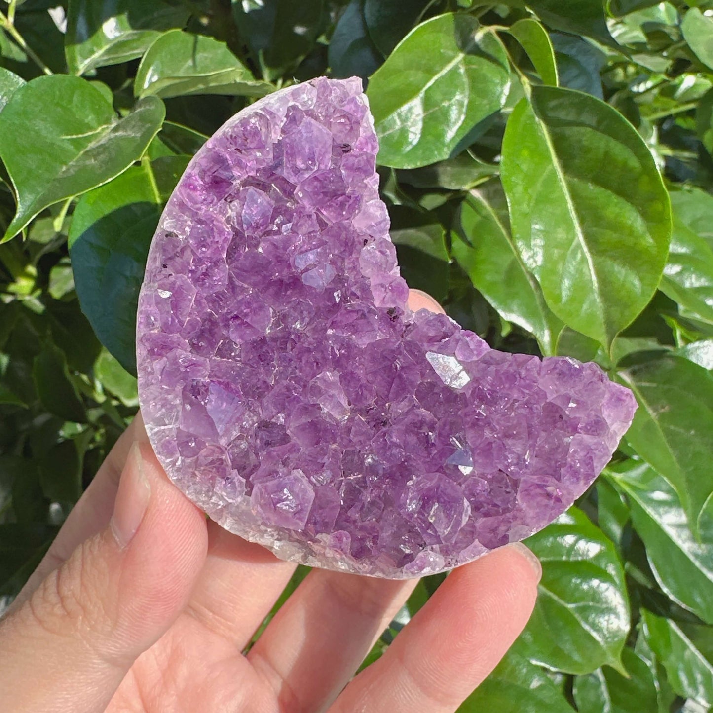 Amethyst Cluster Moon with detailed formations and natural beauty, perfect for collectors and crystal enthusiasts.