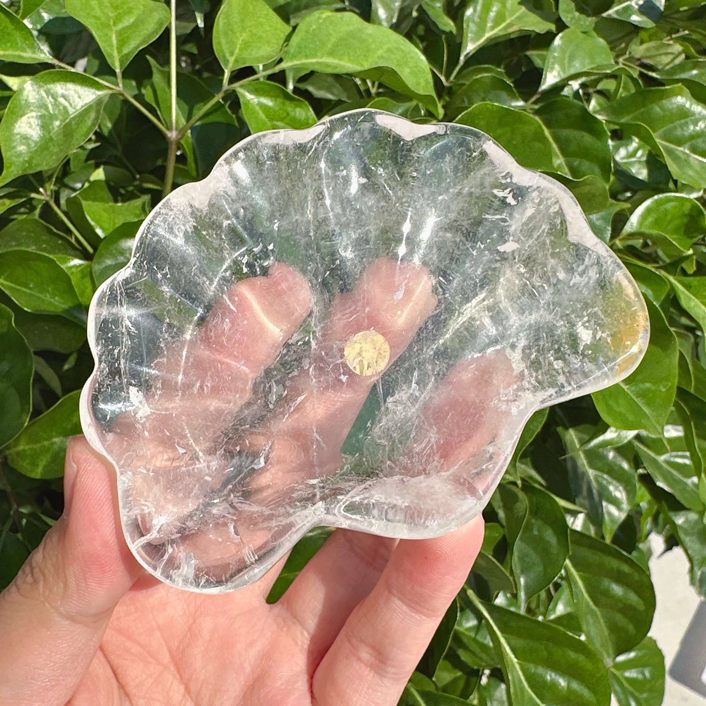 Clear Quartz Shell Bowl featuring intricate crystal formations.