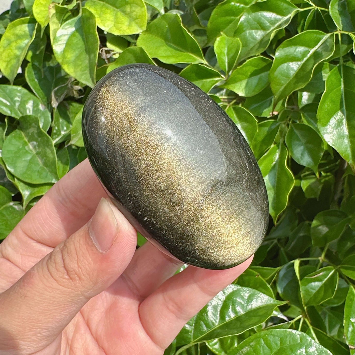 Side view of a Golden Obsidian Palm Stone, featuring metallic gold streaks that catch the light beautifully.