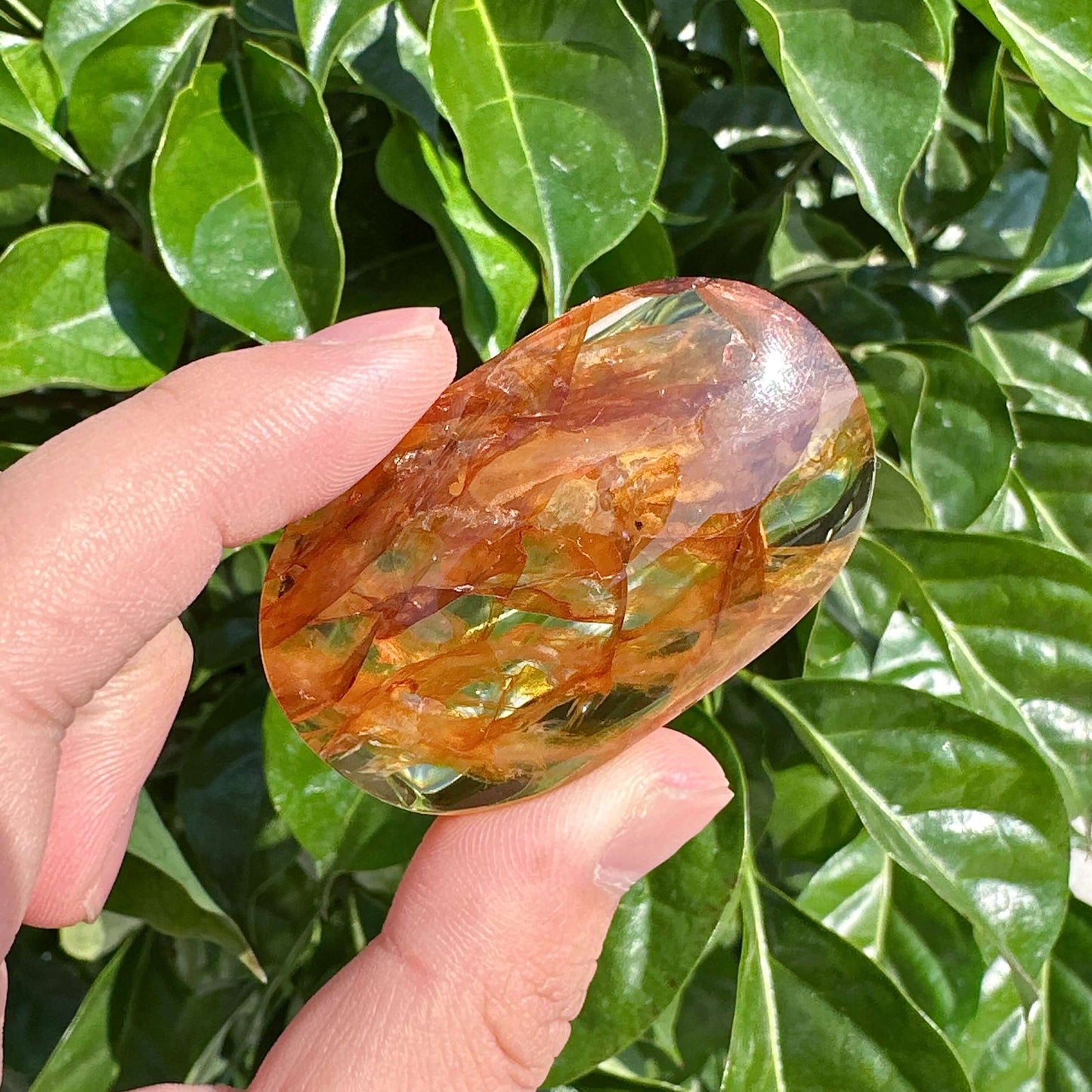 Close-up of a Golden Healer Palm stone showcasing its natural crystal formation, perfect for meditation.