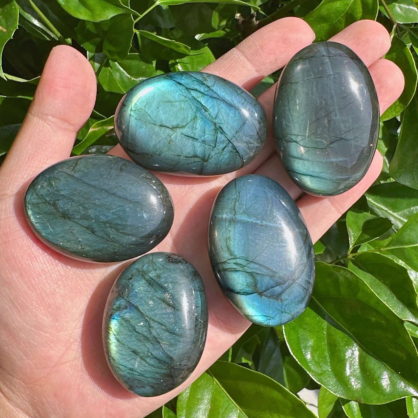 Close-up of a Labradorite Palm Stone, displaying the unique iridescent play of color in the crystal.