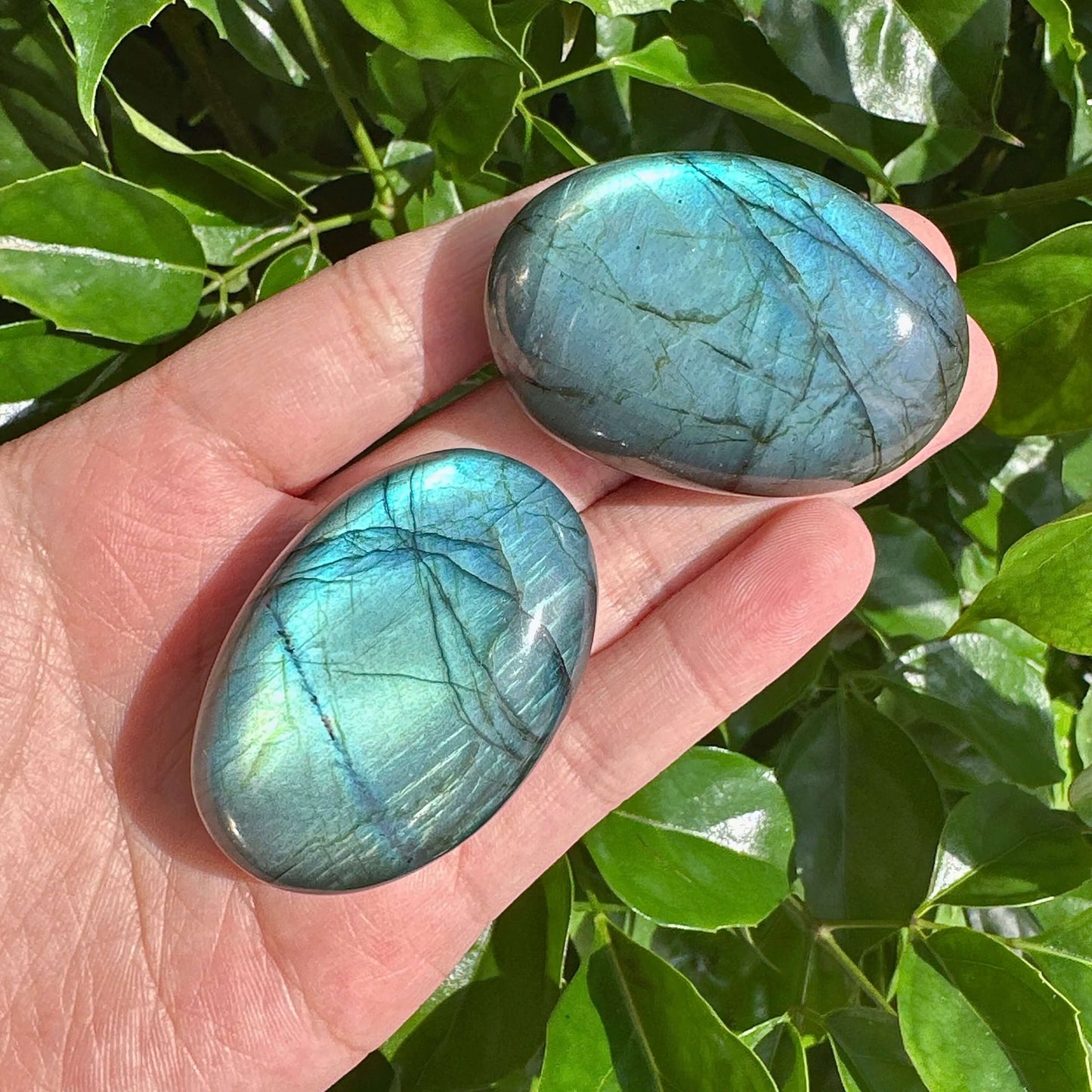 A collection of Labradorite Palm Stones with shimmering blue and green hues, reflecting the natural beauty of this healing crystal.