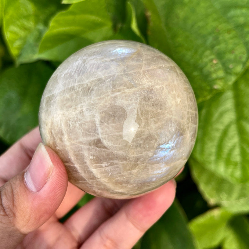 Hand holding a moonstone sphere with subtle flash and earthy translucence, perfect for energy work.