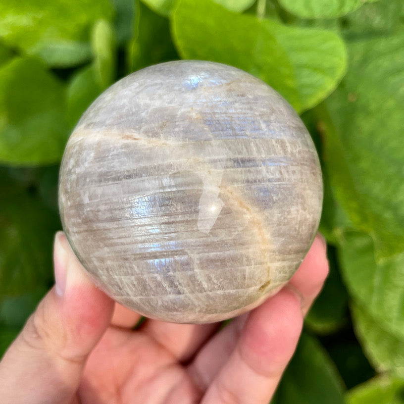 Polished rainbow moonstone sphere with visible blue flash, held in hand against green leaves.