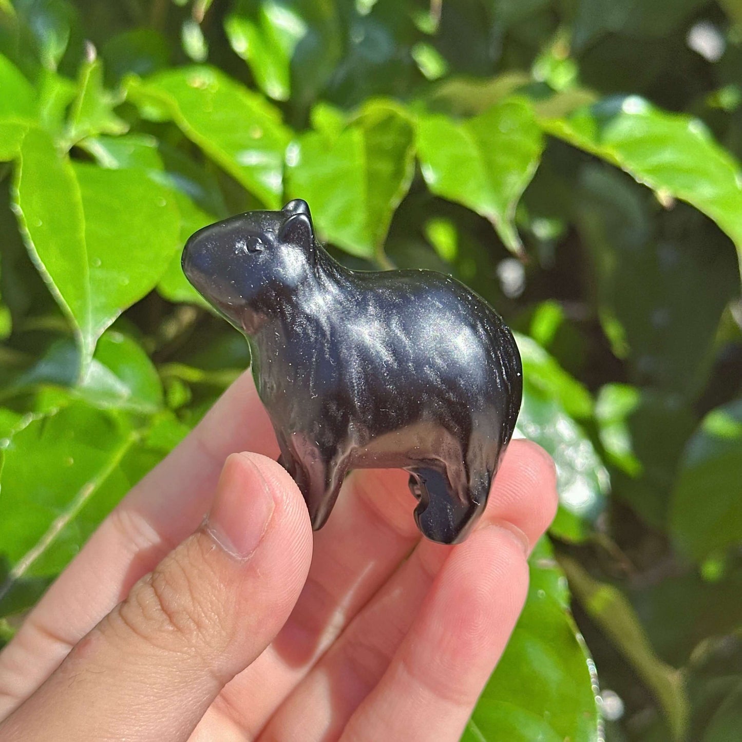 Obsidian Kapibala figurines, captured in hand, radiating a glossy finish, ideal for spiritual healing and adding a mystical aura to home decor.