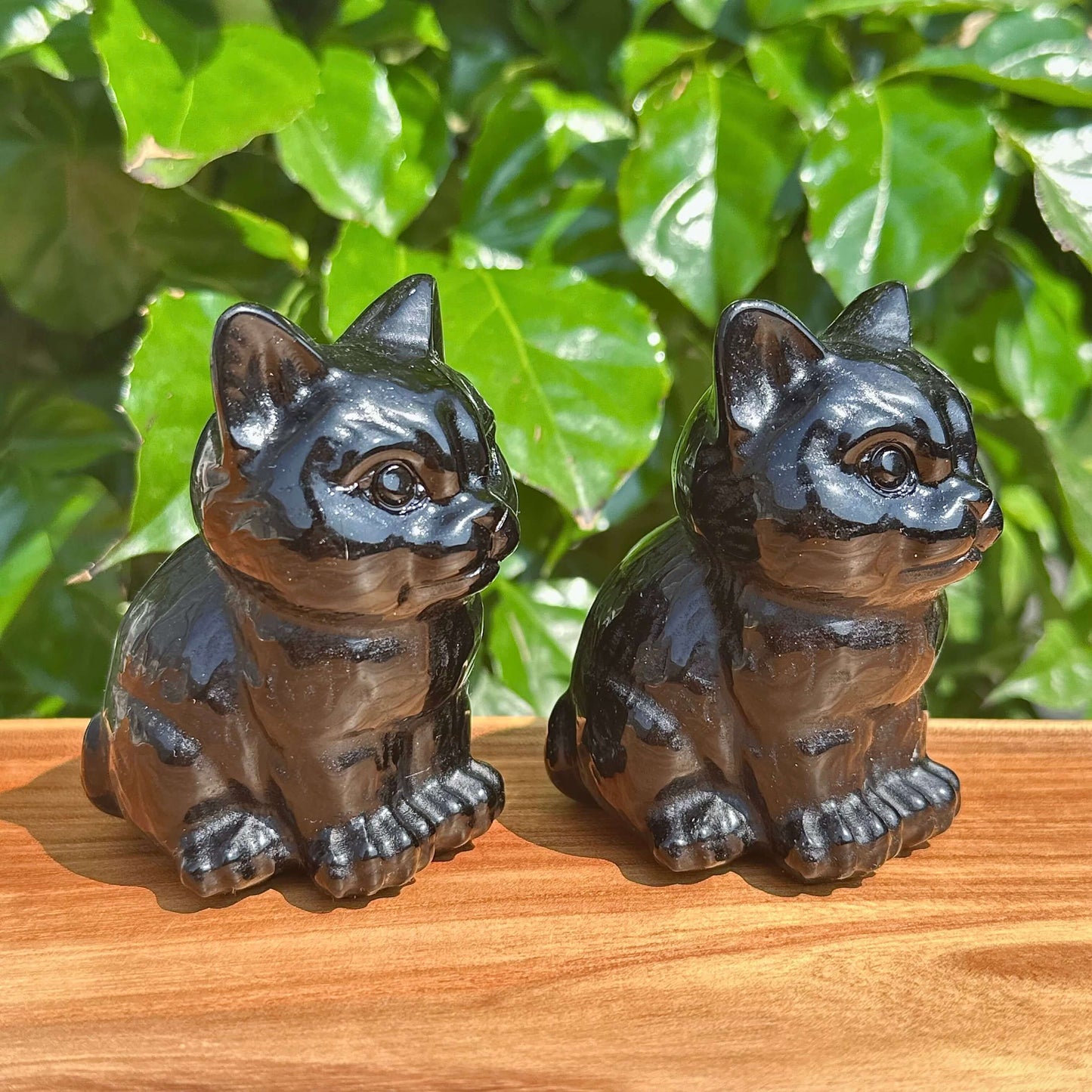 Obsidian Cat Carving - Close Up Pair