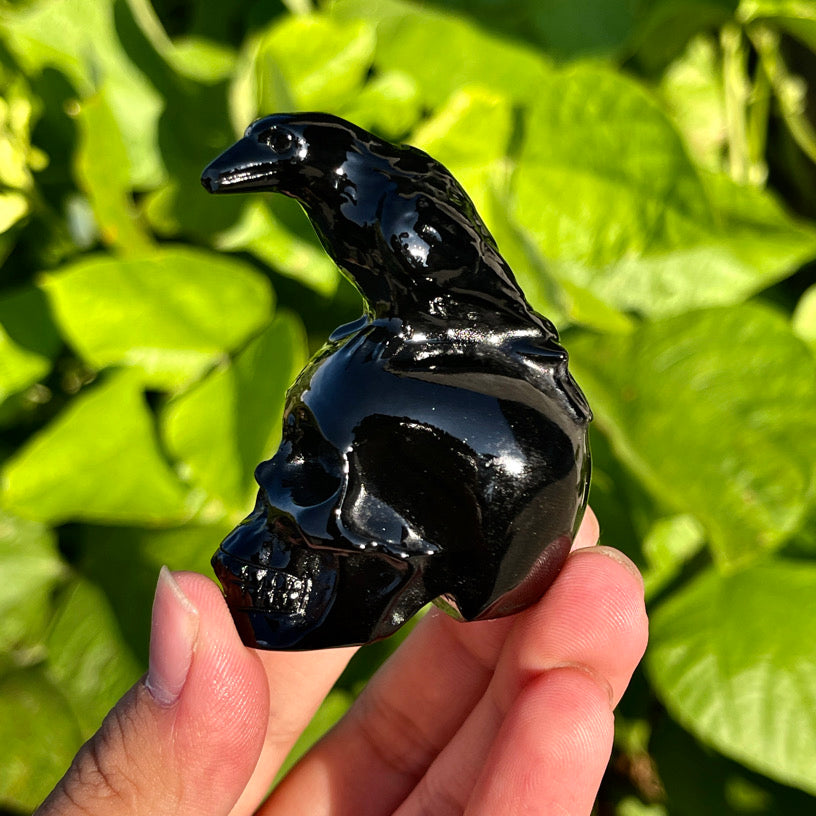 Obsidian raven and skull crystal sculptures with glossy finish and dark metaphysical aesthetic.