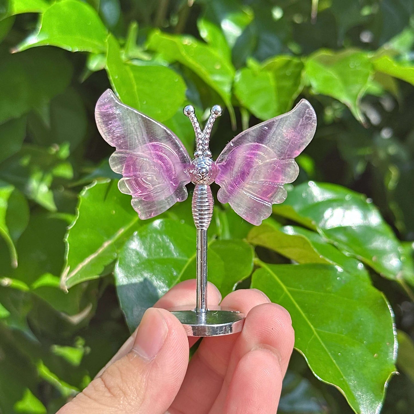 Rainbow Fluorite Butterfly crystal figurine with beautiful translucent purple and green hues, designed for collectors and home decor.