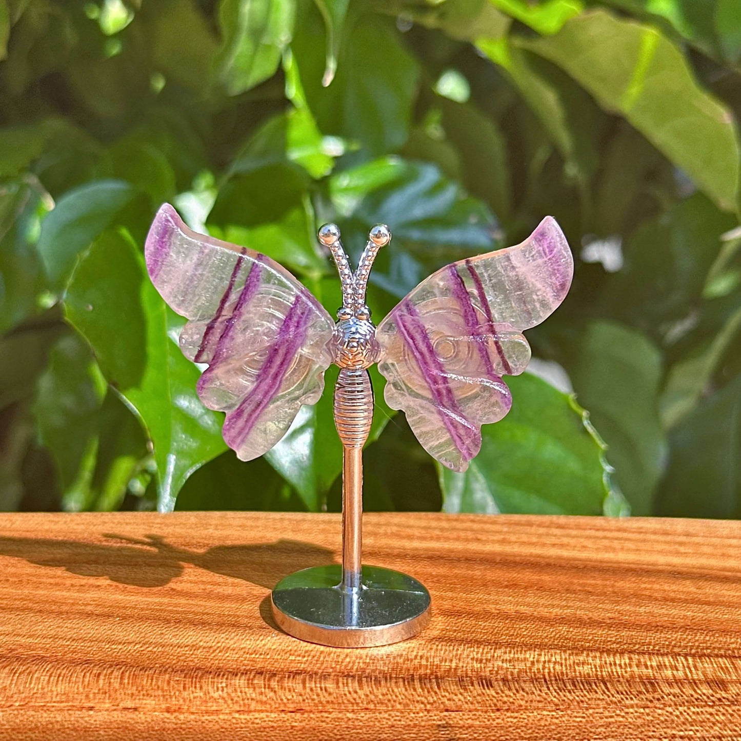 Rainbow Fluorite Butterfly figurine in a clear stand, capturing the vivid colors and beauty of the natural crystal for decoration and energy enhancement.