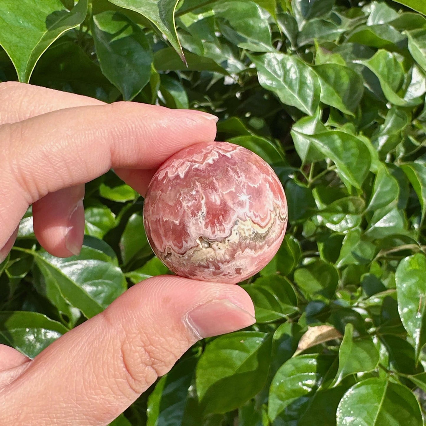 Close-up of a polished Rhodochrosite Sphere with smooth surface