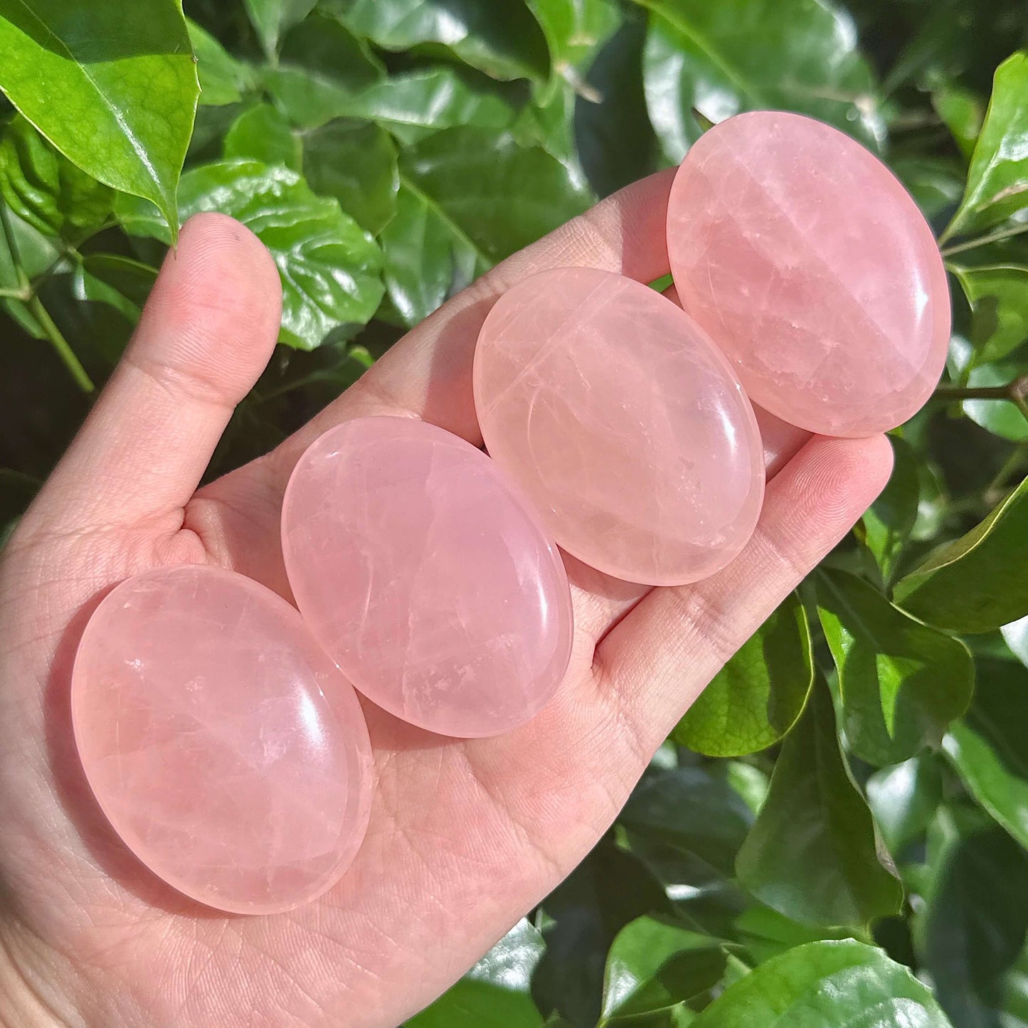 Rose Quartz Palm showcasing its smooth surface and soft pink hues, perfect for meditation and emotional healing.