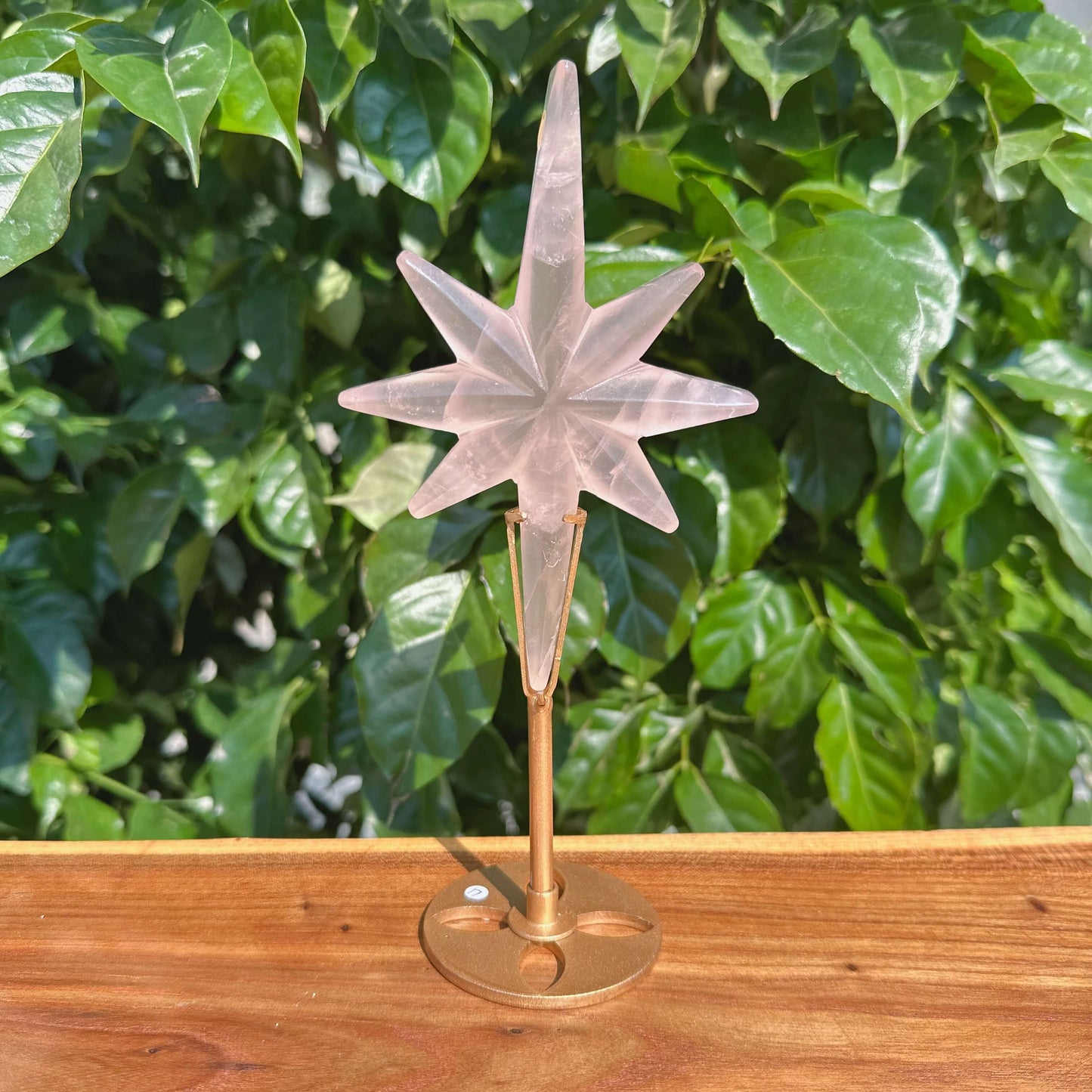 Rose Quartz Polaris star crystal displayed in gold metal stand, perfect for home decor or meditation spaces.