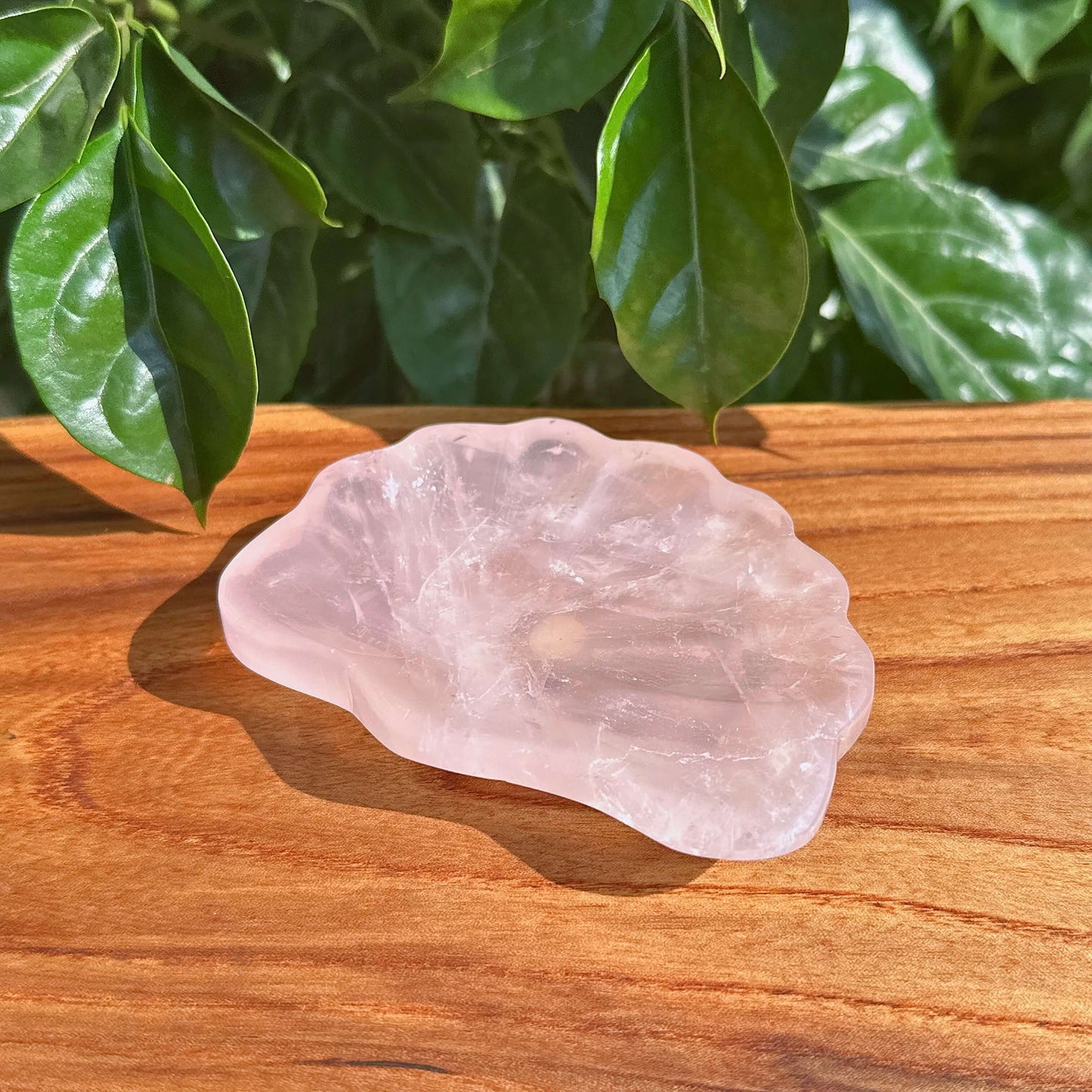 Rose Quartz Shell Bowl, showcasing its soft pink hues and smooth crystal surface.