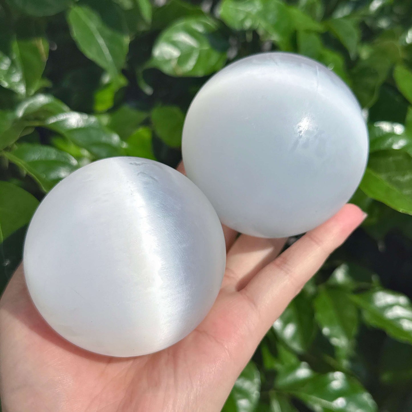 A pair of pristine selenite spheres, perfect for use in meditation and enhancing positive energy.