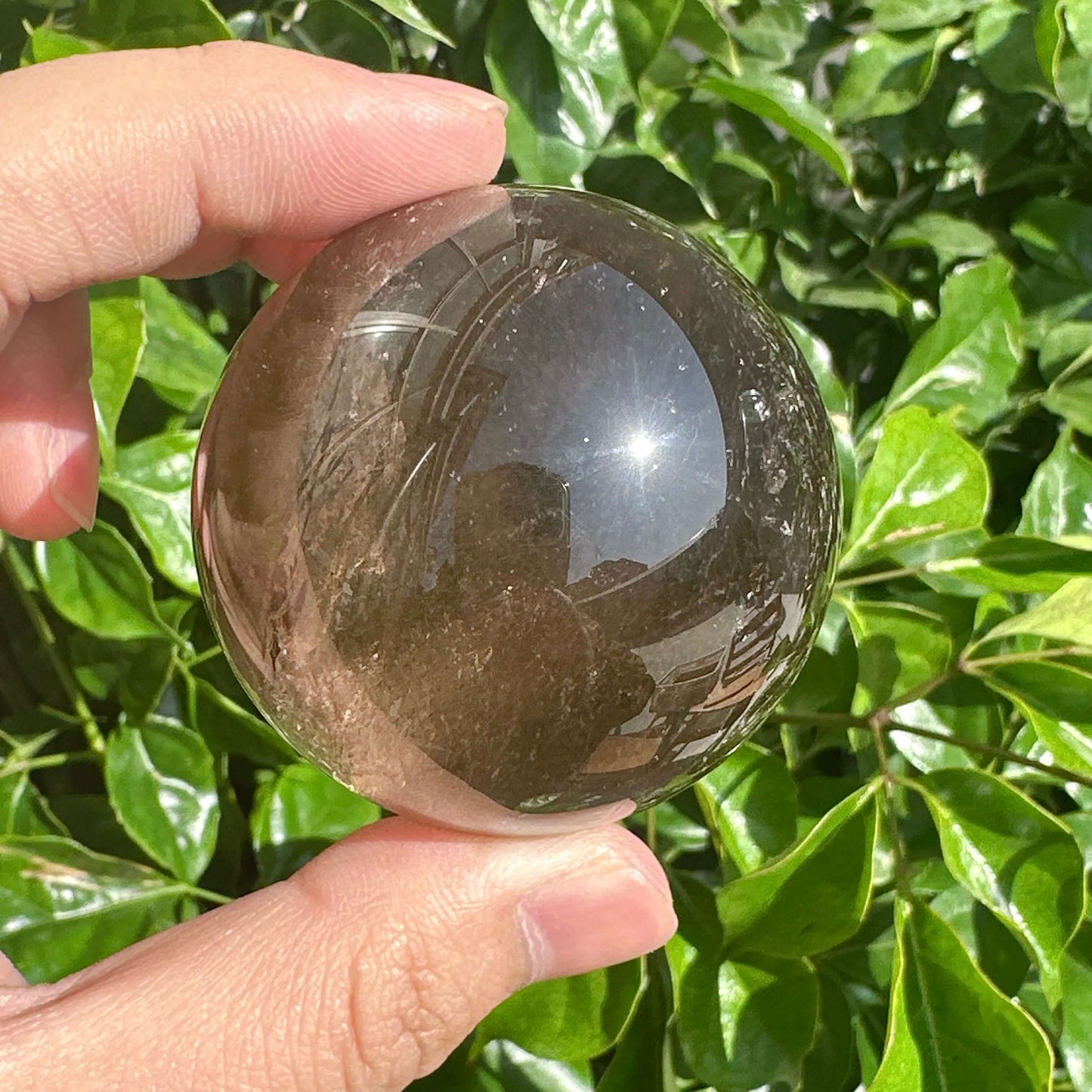 Close-up of Smoky Quartz Sphere reflecting light, showcasing its unique formation and grounding healing qualities.