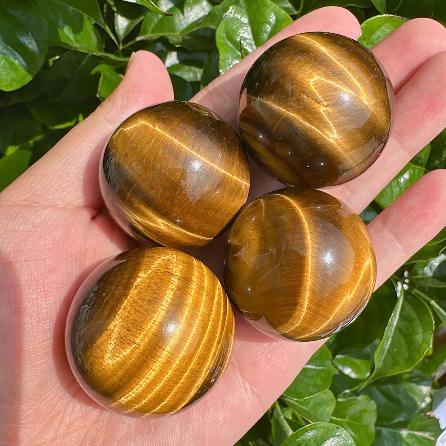 Tiger Eye sphere with natural polished surface reflecting light.