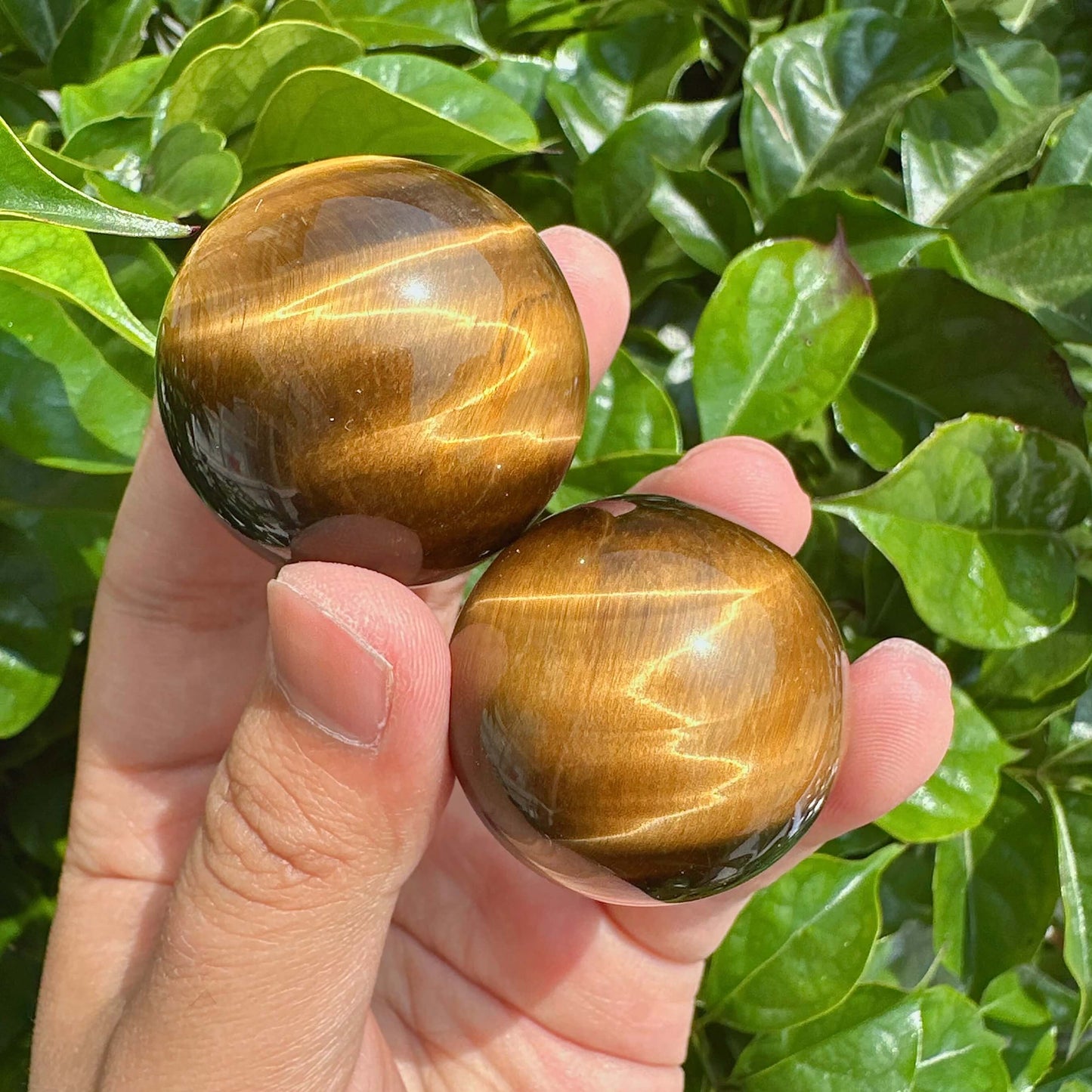 Group of Tiger Eye spheres with shining surface and unique patterns.