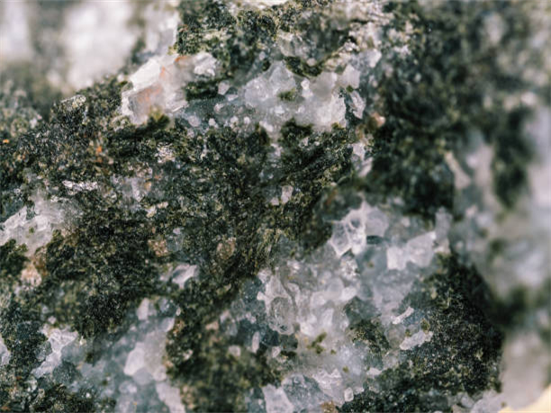 The Power and Benefits of Moss Agate: A Comprehensive Guide