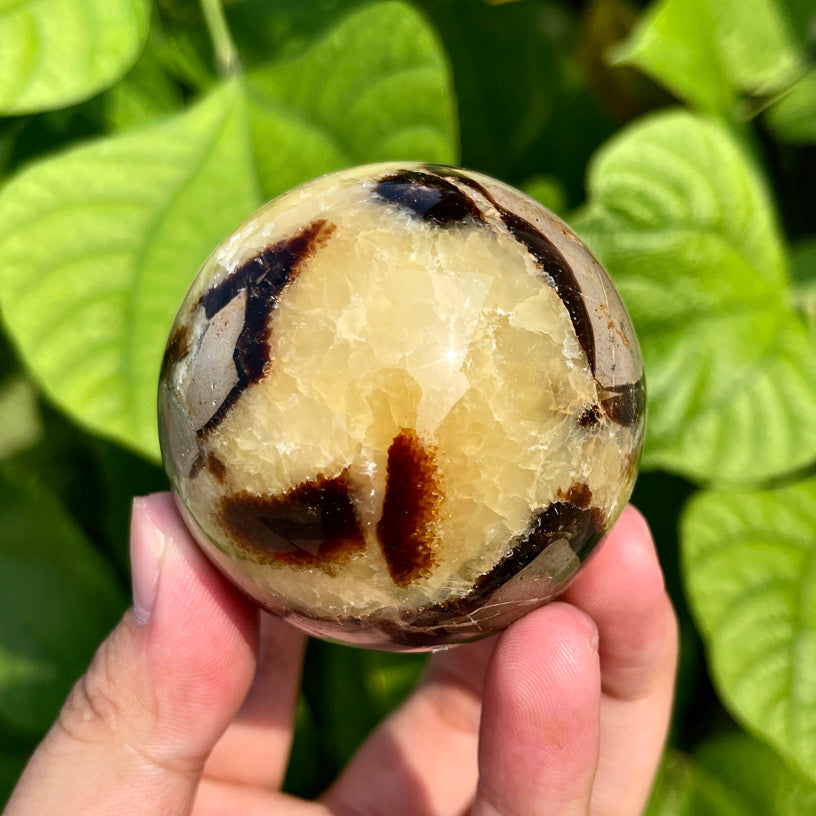 Septarian Sphere