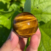 Tiger Eye Sphere