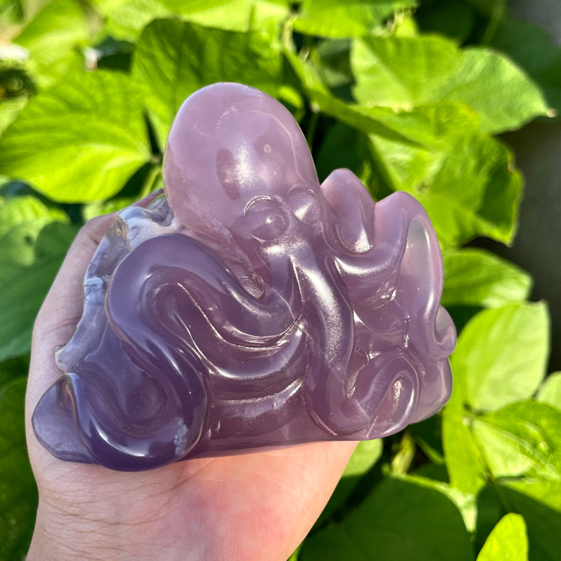 Fluorite Octopus