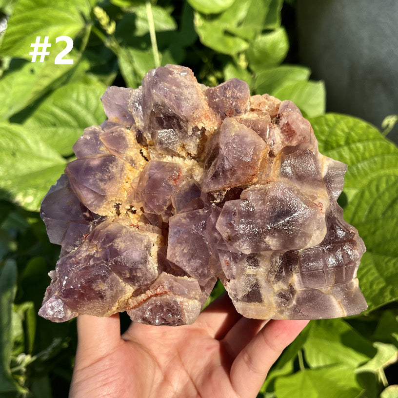 Amethyst Cluster Skull 1PC