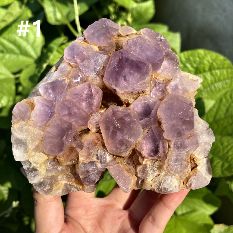 Amethyst Cluster Skull 1PC