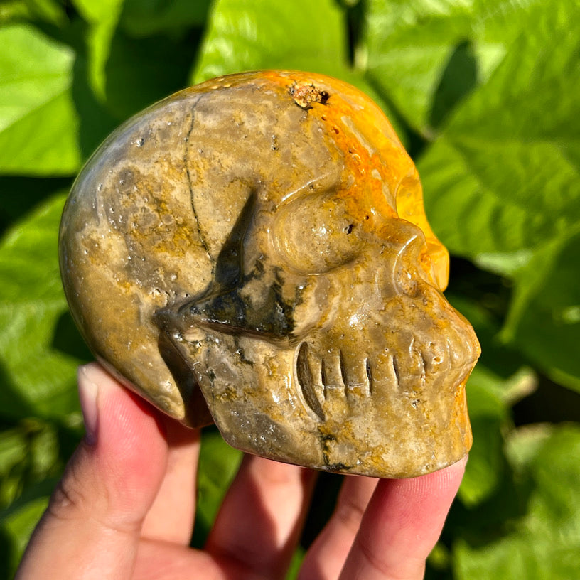 Bumblebee Jasper Skull