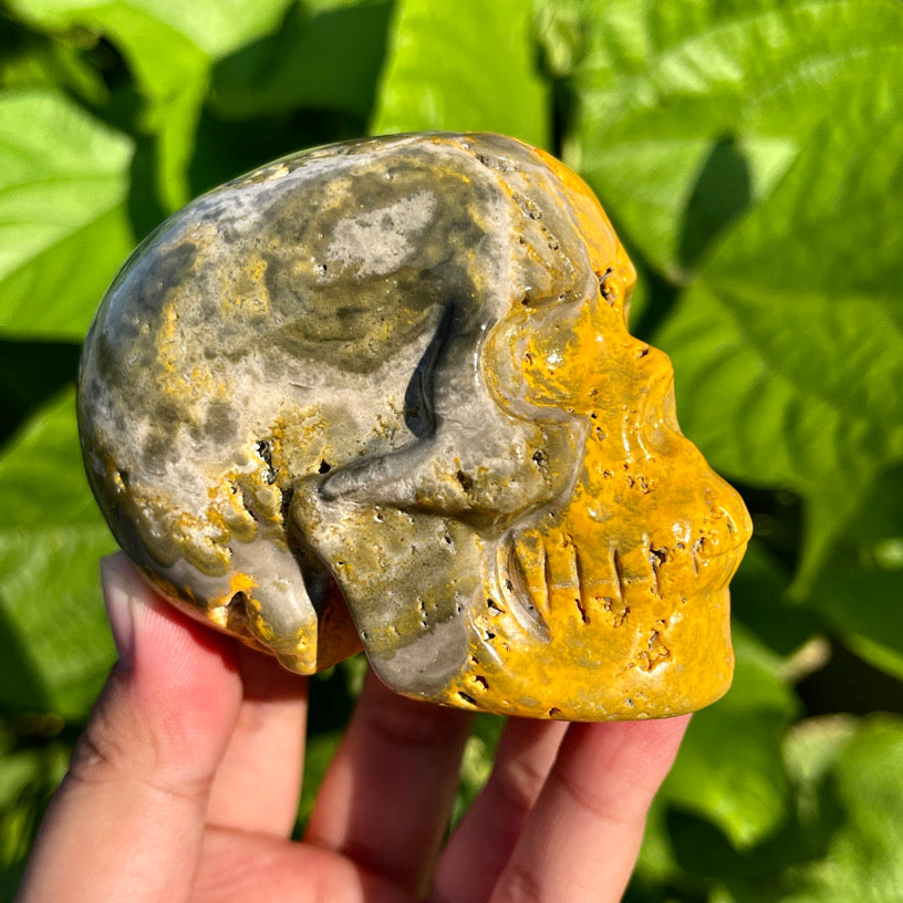 Bumblebee Jasper Skull