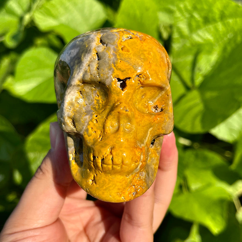 Bumblebee Jasper Skull