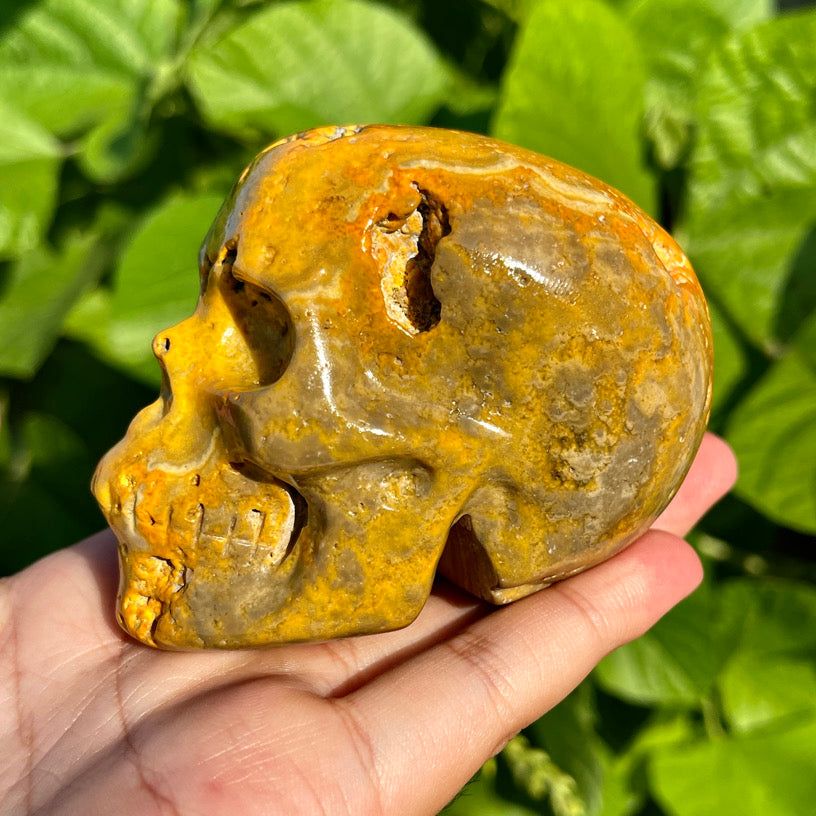 Bumblebee Jasper Skull