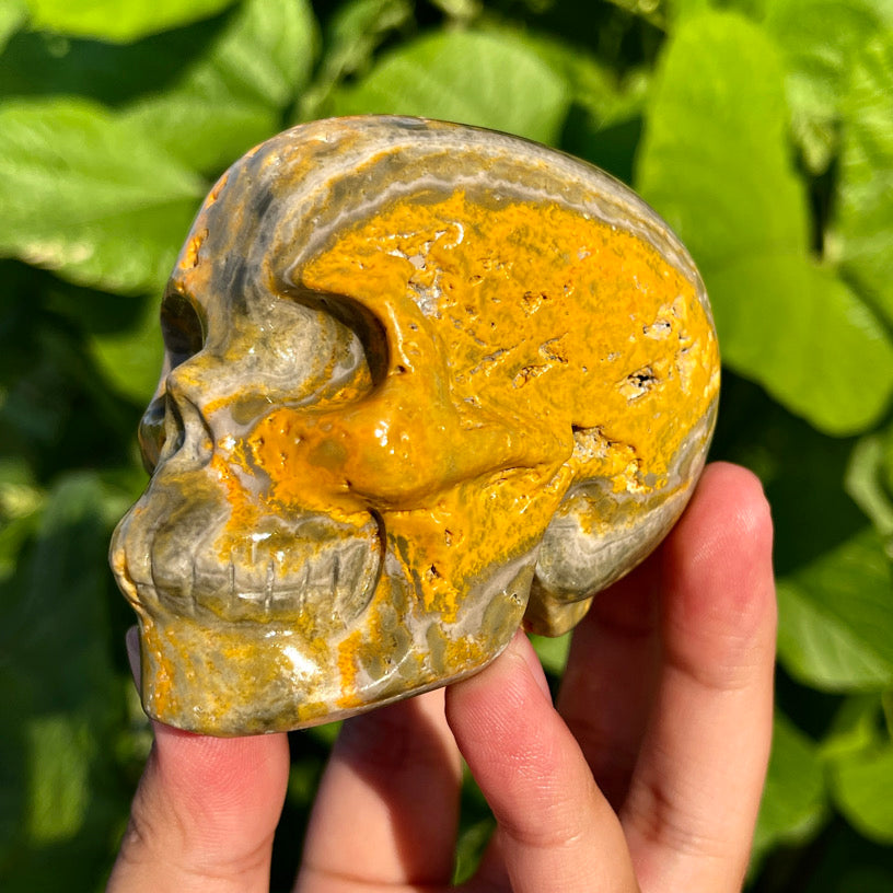 Bumblebee Jasper Skull