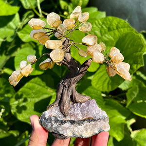 5″+ Crystal Tree Of Life