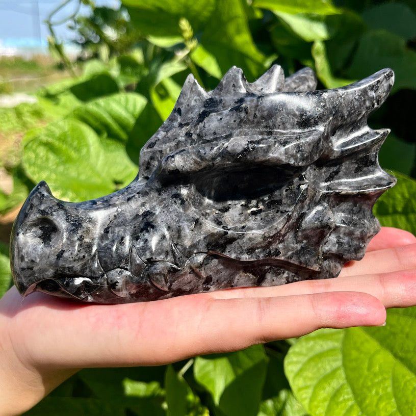 Crystal Dragon Head