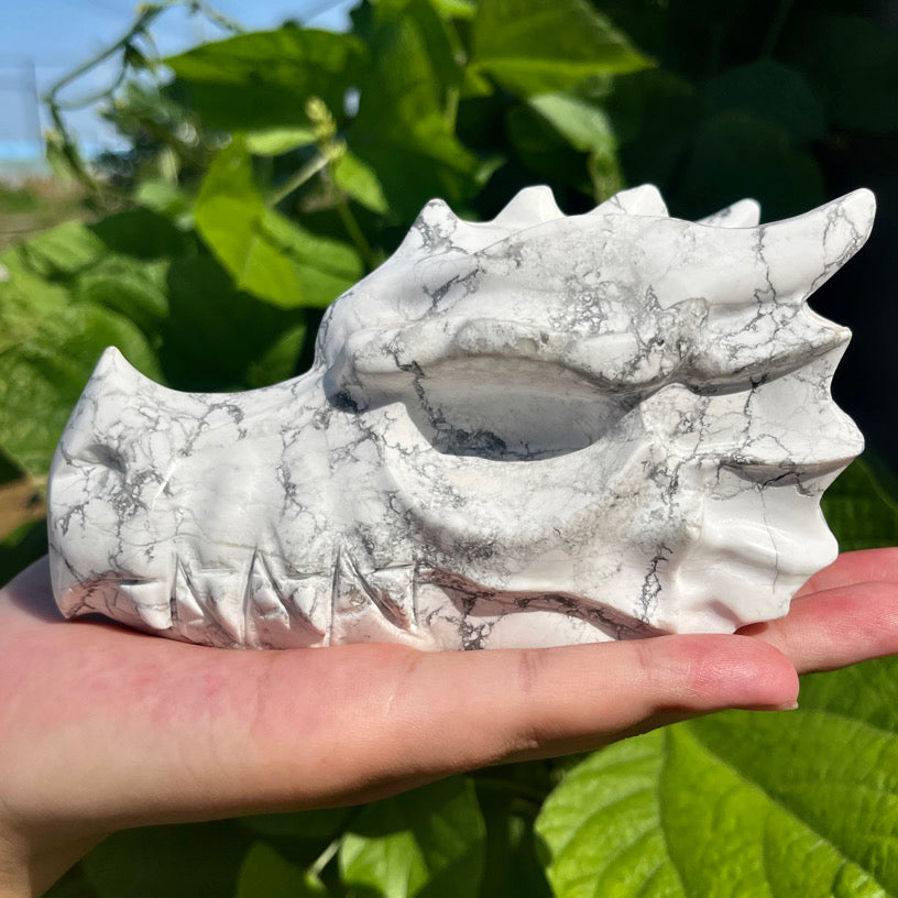 Crystal Dragon Head