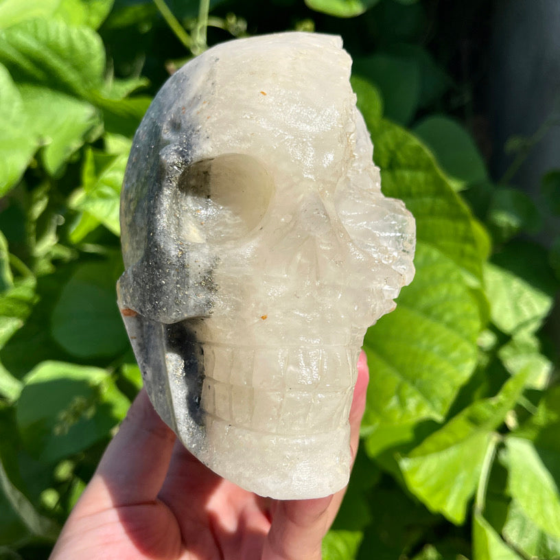 5.5″+ Clear Quartz Cluster Skull