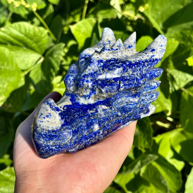 4.9"+ Lapis Lazuli Dragon Head