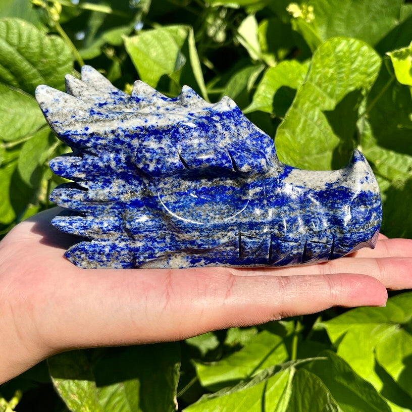 4.9"+ Lapis Lazuli Dragon Head