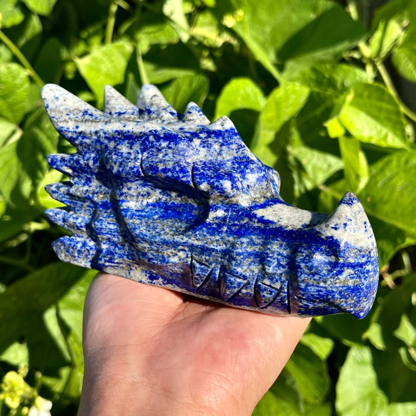 4.9"+ Lapis Lazuli Dragon Head