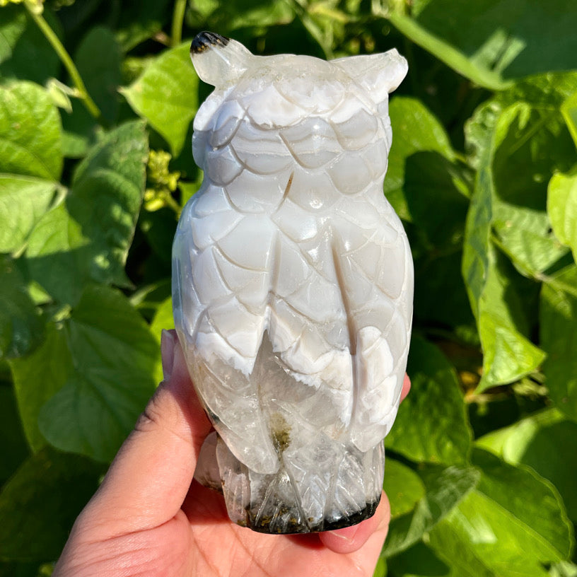 Agate Owl