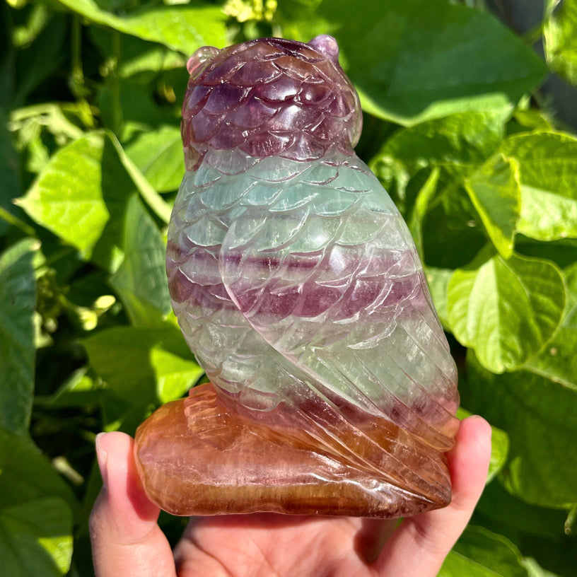 Fluorite Owl