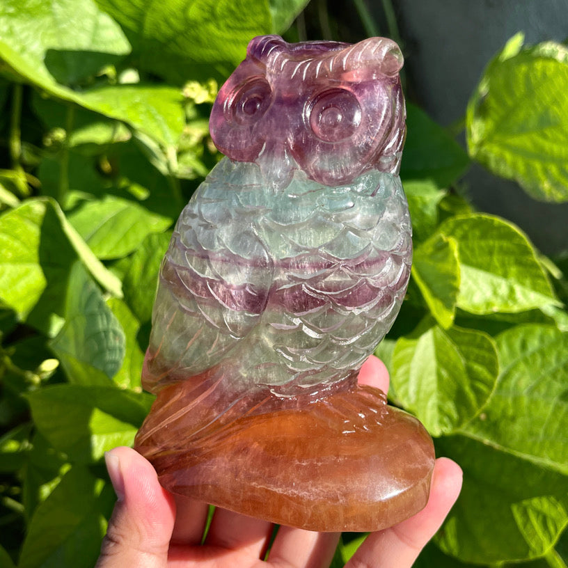 Fluorite Owl