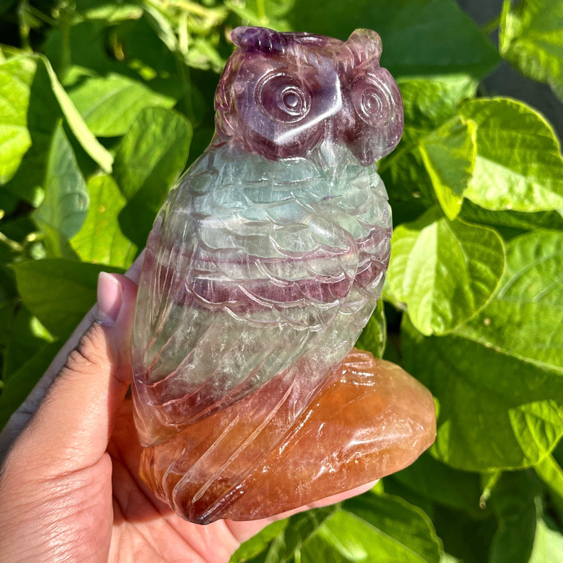 Fluorite Owl