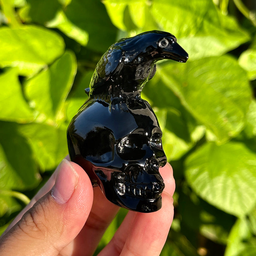 Obsidian Crow Skull