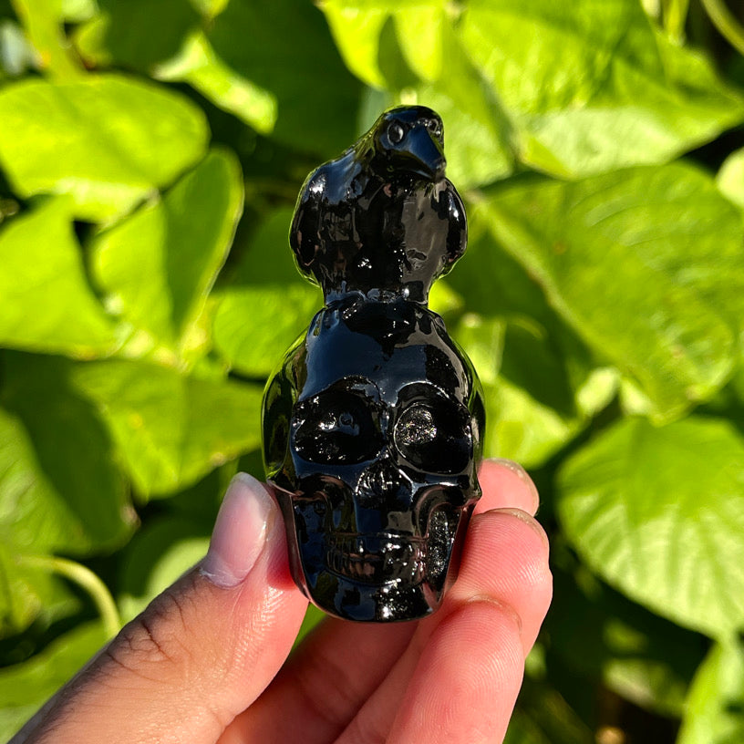 Obsidian Crow Skull