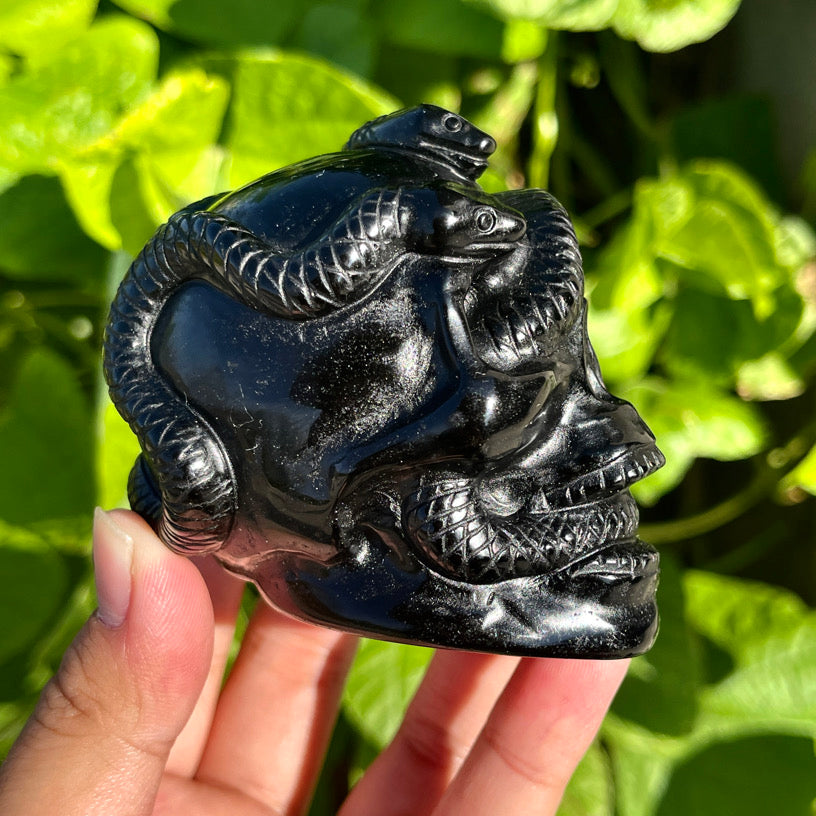 Obsidian Snake Skull