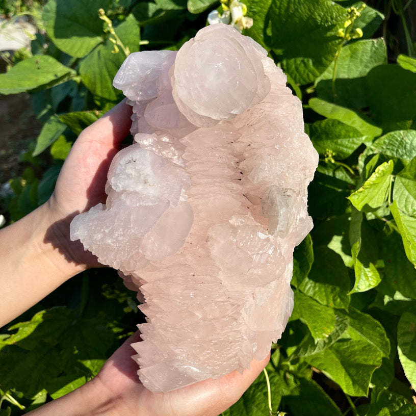 3670g+ Pink Calcite Specimen