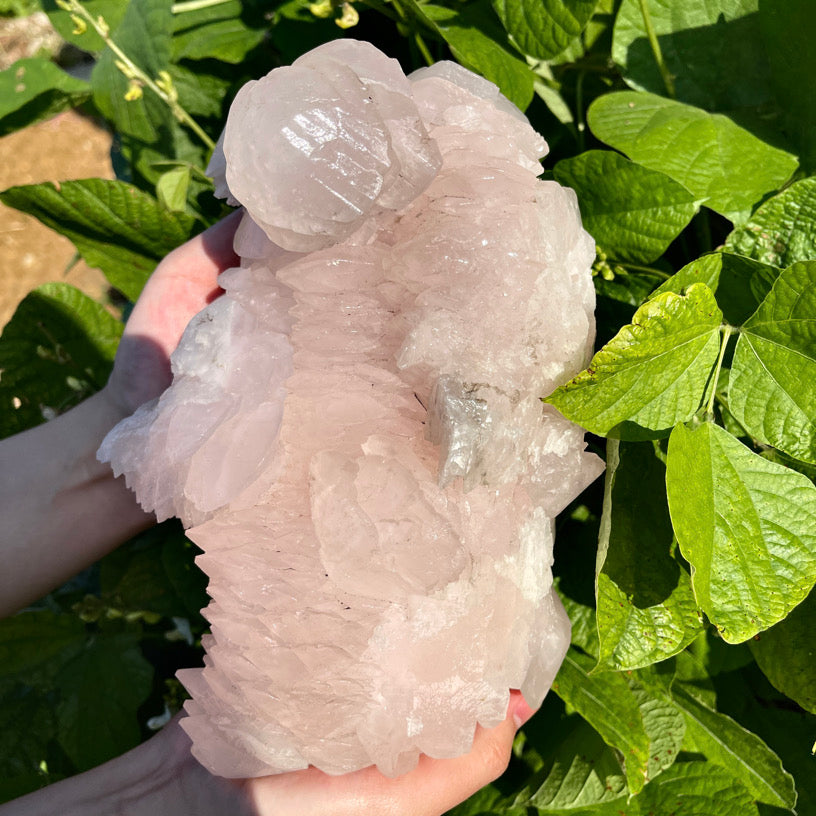 3670g+ Pink Calcite Specimen